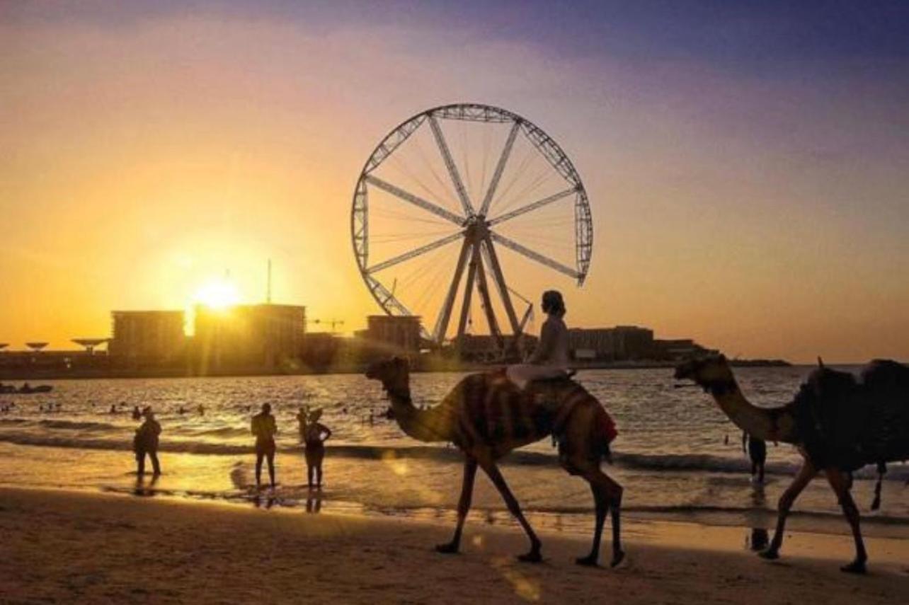 Seaview Beach Hostel Jbr - Walk To Beach - Gym - Pool - Metro Station Dubai Eksteriør billede