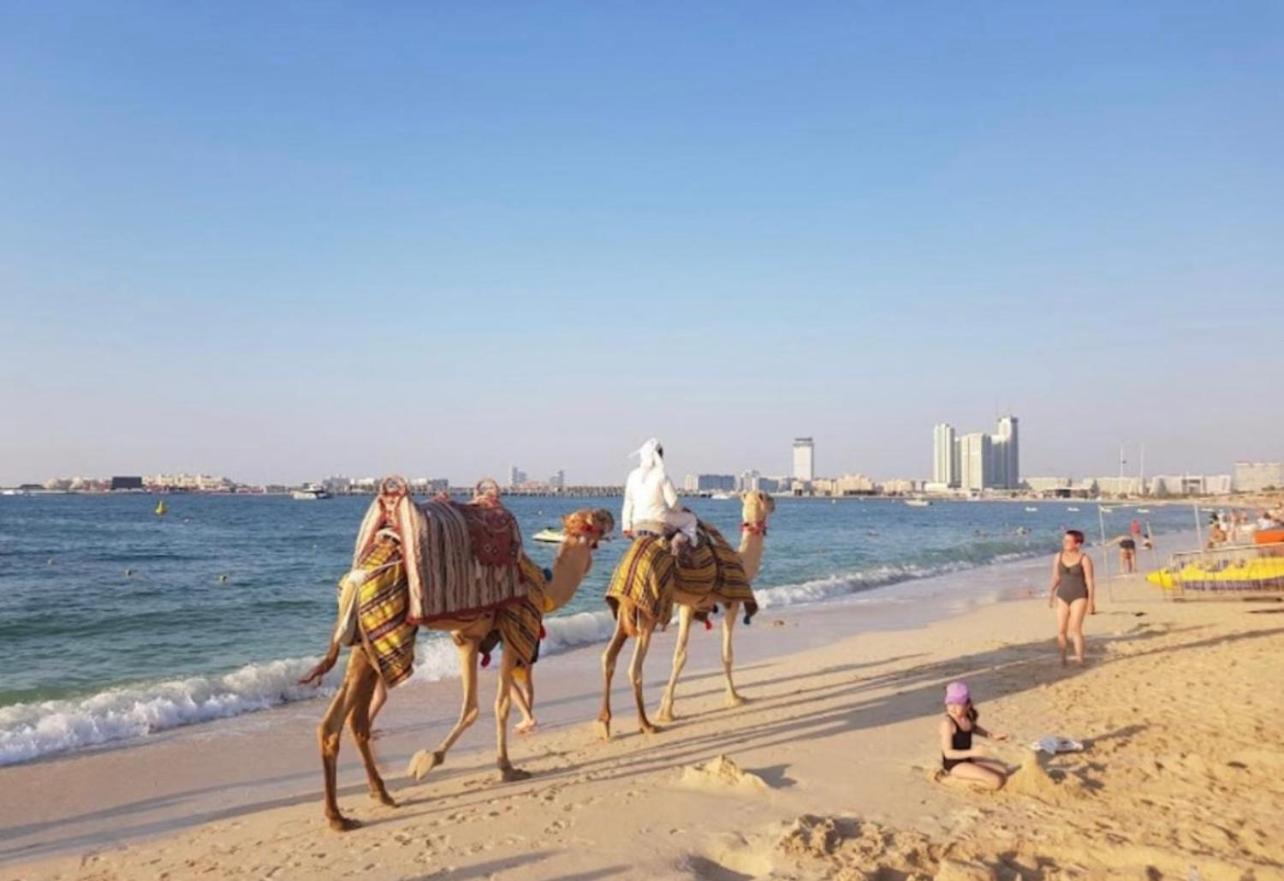 Seaview Beach Hostel Jbr - Walk To Beach - Gym - Pool - Metro Station Dubai Eksteriør billede